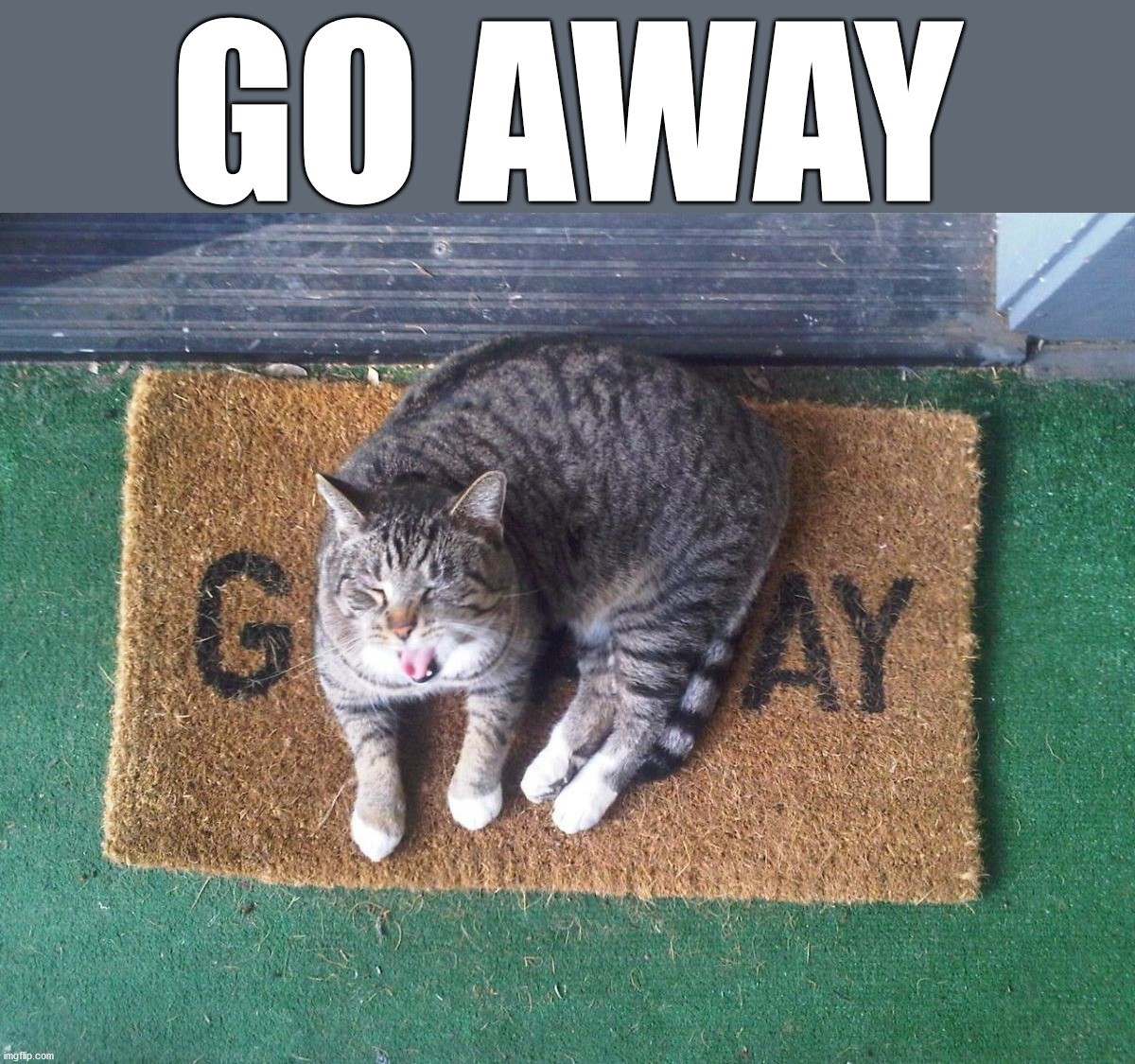 GO AWAY | image tagged in cats | made w/ Imgflip meme maker