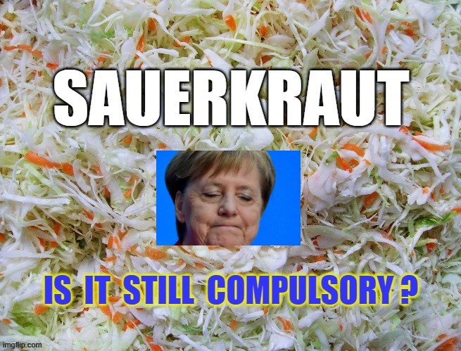 SAUERKRAUT | image tagged in welcome to the salty spitoon | made w/ Imgflip meme maker