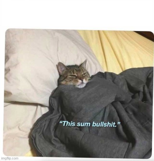 e | image tagged in this sum bullshit cat | made w/ Imgflip meme maker