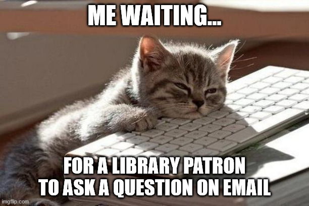 Library Cat Waiting | ME WAITING... FOR A LIBRARY PATRON TO ASK A QUESTION ON EMAIL | image tagged in cats,computer,library | made w/ Imgflip meme maker