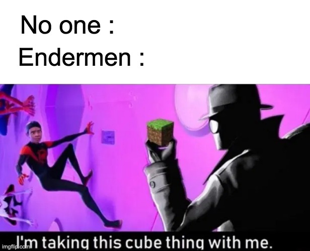 okay then... | No one :; Endermen : | image tagged in enderman,lol,minecraft,cube | made w/ Imgflip meme maker