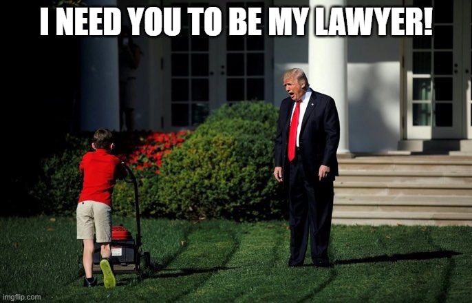 Trump Lawn Mower | I NEED YOU TO BE MY LAWYER! | image tagged in trump lawn mower | made w/ Imgflip meme maker