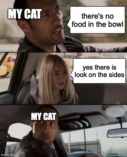 The Rock Driving | there's no food in the bowl; MY CAT; yes there is look on the sides; MY CAT | image tagged in memes,the rock driving,cats | made w/ Imgflip meme maker