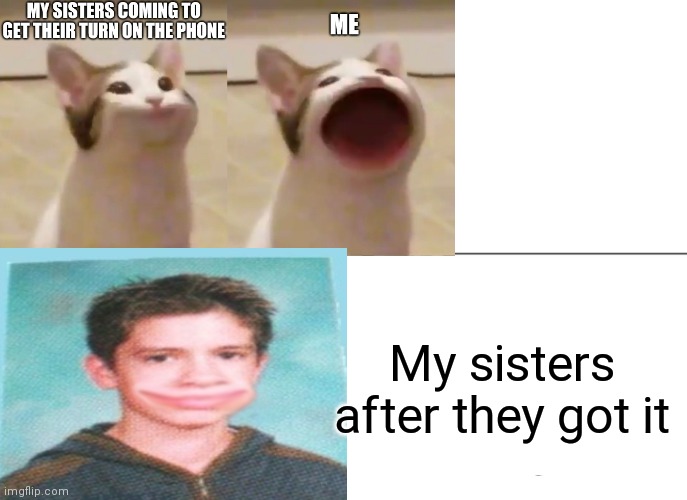  My sisters after they got it | image tagged in cats,panic at the disco,brendon urie,high school,upvote | made w/ Imgflip meme maker