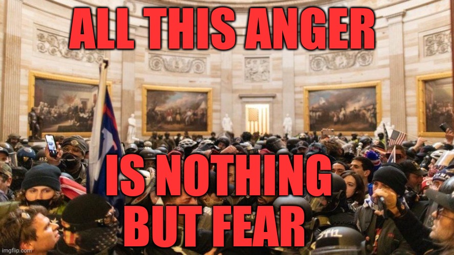 Capitol "Protestors" | ALL THIS ANGER; IS NOTHING     BUT FEAR | image tagged in capitol protestors | made w/ Imgflip meme maker