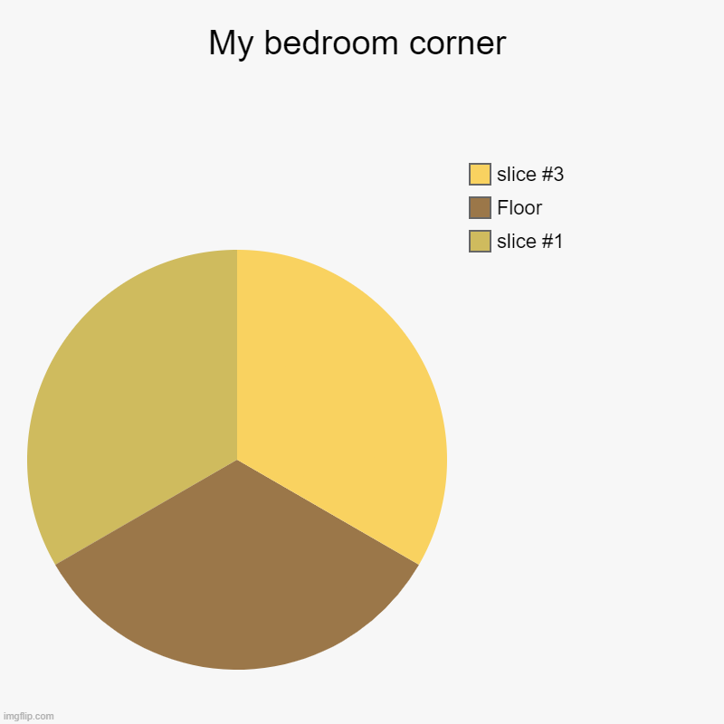 My Bedroom Corner | My bedroom corner |, Floor | image tagged in charts,pie charts,meme,the truth | made w/ Imgflip chart maker