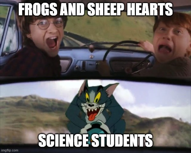 Tom chasing Harry and Ron Weasly | FROGS AND SHEEP HEARTS; SCIENCE STUDENTS | image tagged in tom chasing harry and ron weasly | made w/ Imgflip meme maker
