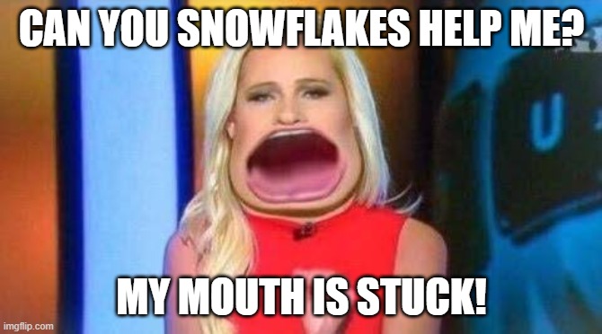 Tomi Lahren | CAN YOU SNOWFLAKES HELP ME? MY MOUTH IS STUCK! | image tagged in tomi lahren | made w/ Imgflip meme maker