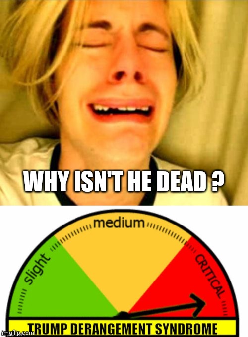 WHY ISN'T HE DEAD ? | image tagged in leave alone,dempanic | made w/ Imgflip meme maker