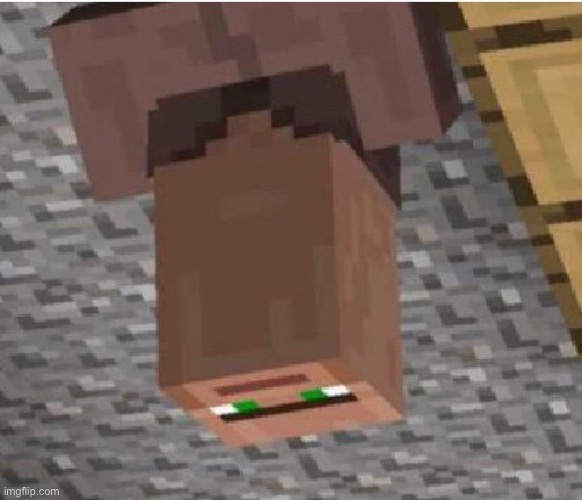 Minecraft Villager Looking Up | image tagged in minecraft villager looking up | made w/ Imgflip meme maker