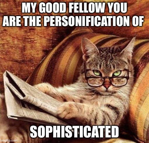 Judgmental cat | MY GOOD FELLOW YOU ARE THE PERSONIFICATION OF; SOPHISTICATED | image tagged in sophisticat,sophisticated,sarcasm,memes | made w/ Imgflip meme maker