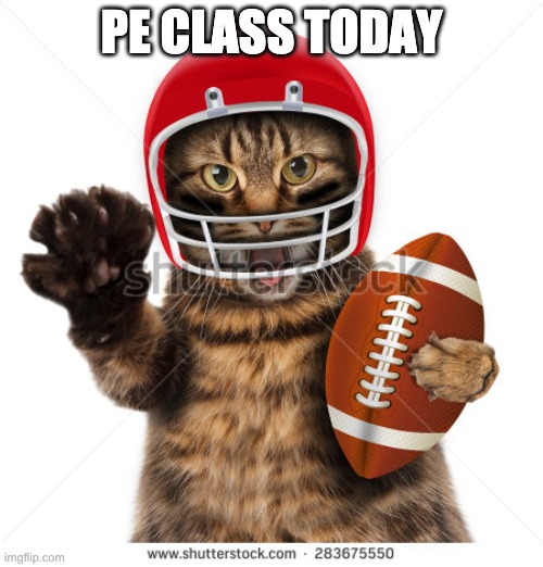 Sports | PE CLASS TODAY | image tagged in sports | made w/ Imgflip meme maker