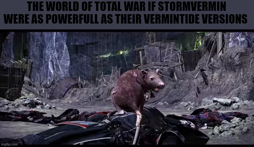 Stormvermin buff? | THE WORLD OF TOTAL WAR IF STORMVERMIN WERE AS POWERFULL AS THEIR VERMINTIDE VERSIONS | image tagged in total war,warhammer,vermintide 2,skaven | made w/ Imgflip meme maker