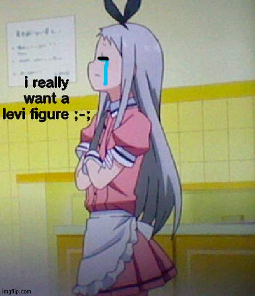 hideri is not impressed | i really want a levi figure ;-; | image tagged in hideri is not impressed | made w/ Imgflip meme maker