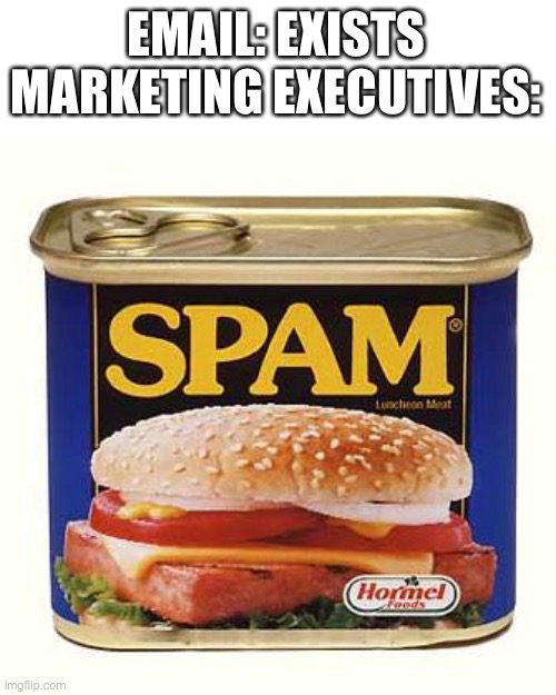 spam | EMAIL: EXISTS
MARKETING EXECUTIVES: | image tagged in spam | made w/ Imgflip meme maker