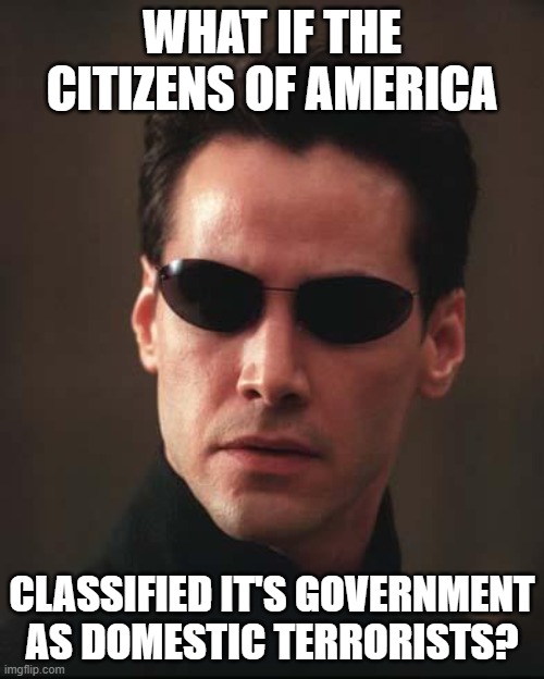 Neo Matrix Keanu Reeves | WHAT IF THE CITIZENS OF AMERICA; CLASSIFIED IT'S GOVERNMENT AS DOMESTIC TERRORISTS? | image tagged in neo matrix keanu reeves | made w/ Imgflip meme maker
