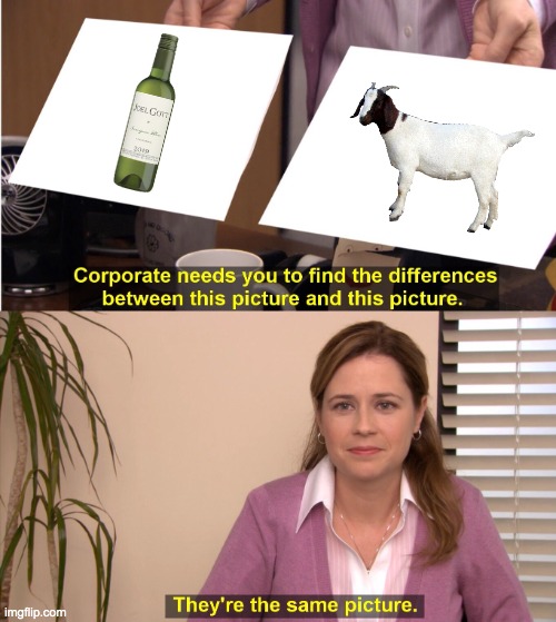 They're The Same Picture | image tagged in memes,they're the same picture | made w/ Imgflip meme maker