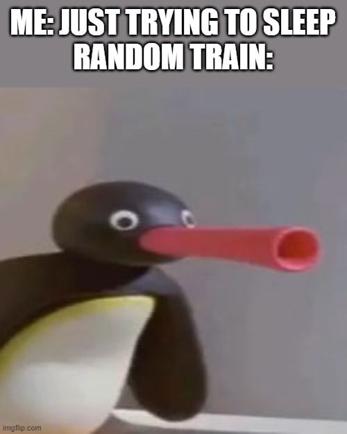 NOOT NOOT | ME: JUST TRYING TO SLEEP
RANDOM TRAIN: | image tagged in noot noot | made w/ Imgflip meme maker