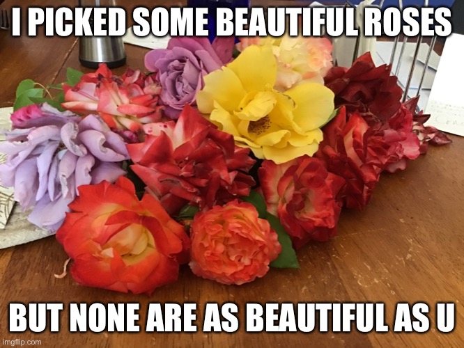 I PICKED SOME BEAUTIFUL ROSES; BUT NONE ARE AS BEAUTIFUL AS U | made w/ Imgflip meme maker