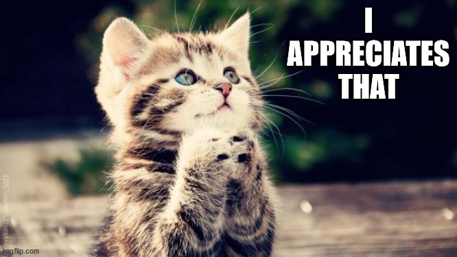 Praying cat | I APPRECIATES THAT | image tagged in praying cat | made w/ Imgflip meme maker