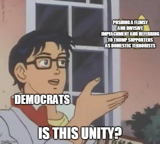 Is This A Pigeon Meme | PUSHING A FLIMSY AND DIVISIVE IMPEACHMENT AND REFERRING TO TRUMP SUPPORTERS AS DOMESTIC TERRORISTS; DEMOCRATS; IS THIS UNITY? | image tagged in memes,is this a pigeon | made w/ Imgflip meme maker