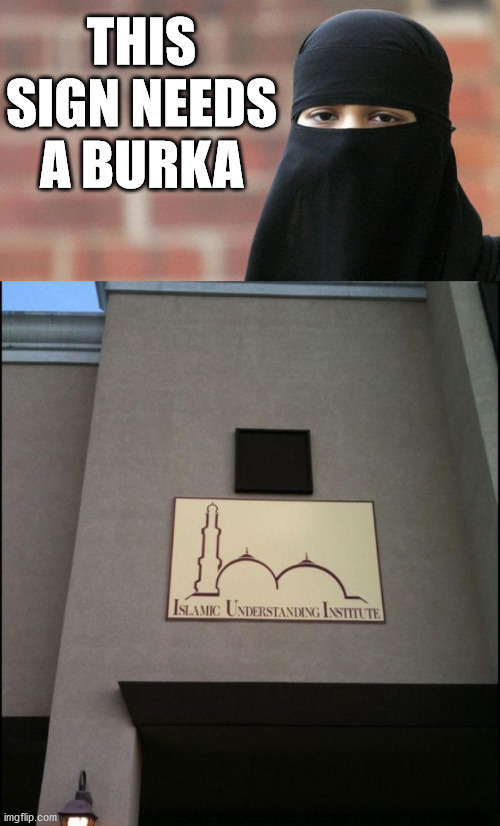 Kind of risky sign for Islam. | THIS SIGN NEEDS A BURKA | image tagged in not funny burka,totally looks like | made w/ Imgflip meme maker
