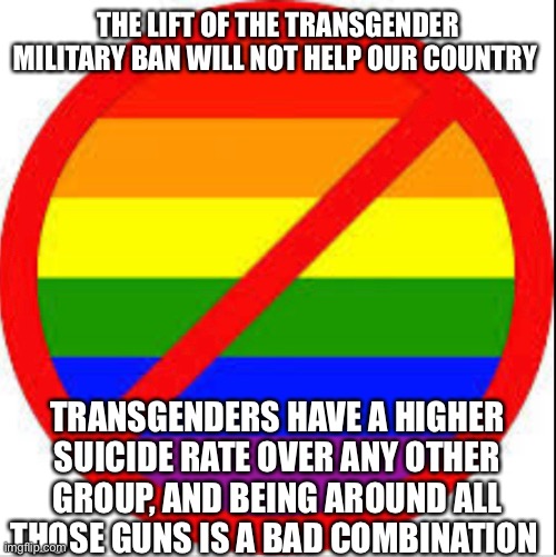 Just my beliefs | THE LIFT OF THE TRANSGENDER MILITARY BAN WILL NOT HELP OUR COUNTRY; TRANSGENDERS HAVE A HIGHER SUICIDE RATE OVER ANY OTHER GROUP, AND BEING AROUND ALL THOSE GUNS IS A BAD COMBINATION | image tagged in facts | made w/ Imgflip meme maker