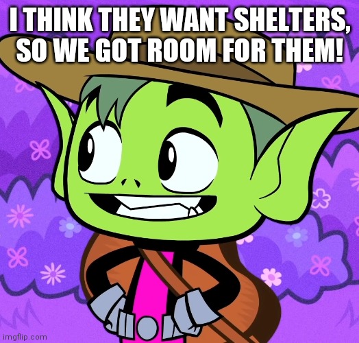 Cowboy Beast Boy (TTG) | I THINK THEY WANT SHELTERS, SO WE GOT ROOM FOR THEM! | image tagged in cowboy beast boy ttg | made w/ Imgflip meme maker