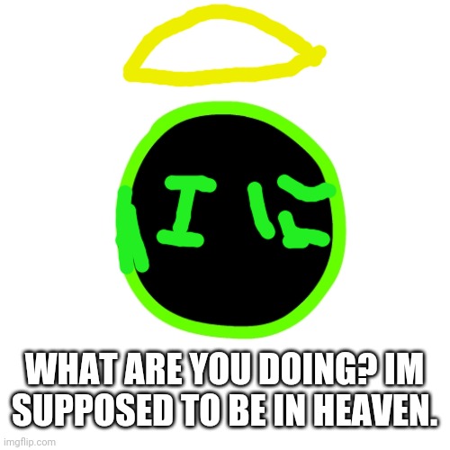 Confused Program | WHAT ARE YOU DOING? IM SUPPOSED TO BE IN HEAVEN. | image tagged in confused program | made w/ Imgflip meme maker