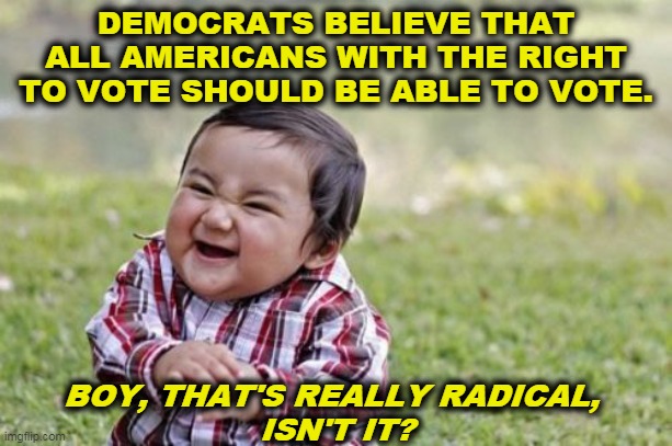 The Republicans oppose it, but then, they oppose everything. That's all they're good for. | DEMOCRATS BELIEVE THAT ALL AMERICANS WITH THE RIGHT TO VOTE SHOULD BE ABLE TO VOTE. BOY, THAT'S REALLY RADICAL, 
ISN'T IT? | image tagged in memes,evil toddler,voting,democrats,obstruction,republicans | made w/ Imgflip meme maker