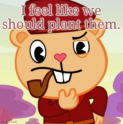 Pop (HTF) | I feel like we should plant them. | image tagged in pop htf | made w/ Imgflip meme maker