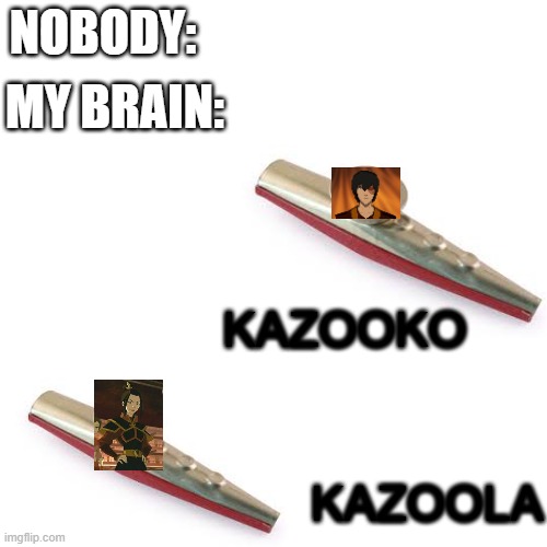 The Fire Nation Kazoo Siblings! | NOBODY:; MY BRAIN:; KAZOOKO; KAZOOLA | image tagged in memes,blank transparent square,avatar the last airbender,oh wow are you actually reading these tags | made w/ Imgflip meme maker