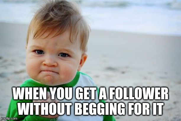 Success Kid Original | WHEN YOU GET A FOLLOWER WITHOUT BEGGING FOR IT | image tagged in memes,success kid original | made w/ Imgflip meme maker