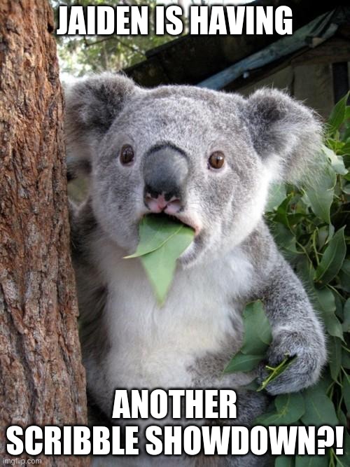 Surprised Koala | JAIDEN IS HAVING; ANOTHER SCRIBBLE SHOWDOWN?! | image tagged in memes,surprised koala,jaiden animations | made w/ Imgflip meme maker