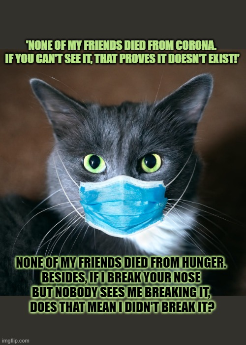 If you can't see something, it doesn't exist | 'NONE OF MY FRIENDS DIED FROM CORONA. 
IF YOU CAN'T SEE IT, THAT PROVES IT DOESN'T EXIST!'; NONE OF MY FRIENDS DIED FROM HUNGER. 
BESIDES, IF I BREAK YOUR NOSE 
BUT NOBODY SEES ME BREAKING IT, 
DOES THAT MEAN I DIDN'T BREAK IT? | image tagged in cat with facemask,face mask,logic,fallacy | made w/ Imgflip meme maker