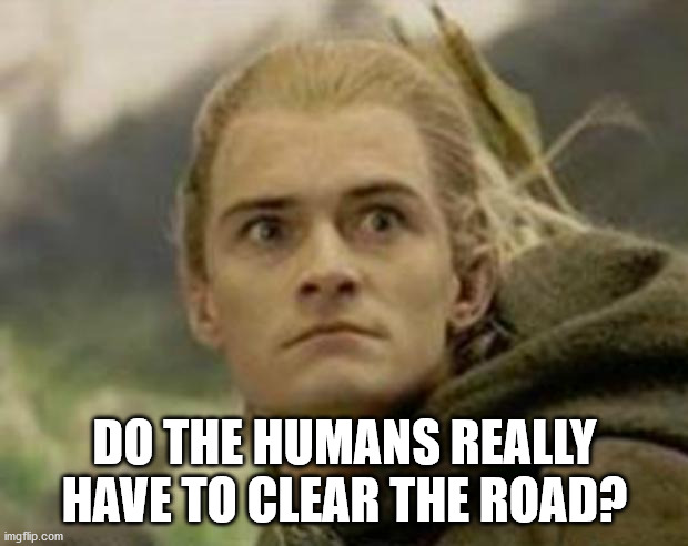 Legolas | DO THE HUMANS REALLY HAVE TO CLEAR THE ROAD? | image tagged in legolas | made w/ Imgflip meme maker