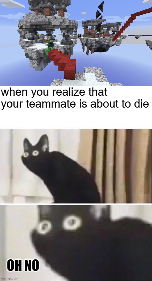 That player is me :( | when you realize that your teammate is about to die; OH NO | image tagged in oh no black cat | made w/ Imgflip meme maker