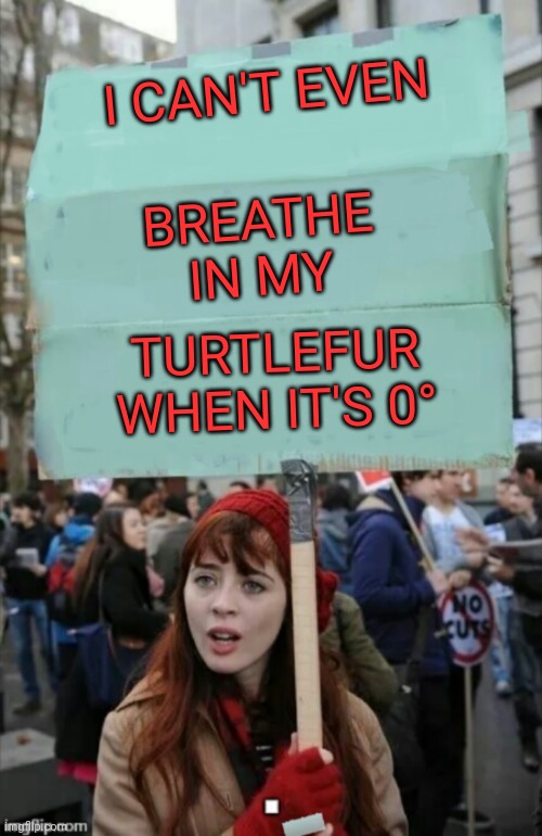 protestor | I CAN'T EVEN BREATHE IN MY TURTLEFUR WHEN IT'S 0° | image tagged in protestor | made w/ Imgflip meme maker
