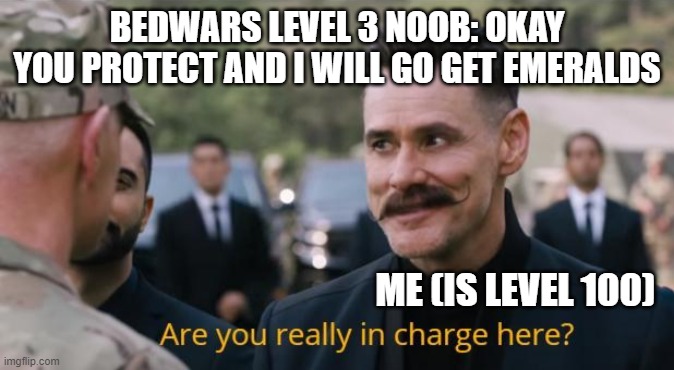 It doesn't happen a lot, but when it does, it's hilarious. | BEDWARS LEVEL 3 NOOB: OKAY YOU PROTECT AND I WILL GO GET EMERALDS; ME (IS LEVEL 100) | image tagged in are you really in charge here,bedwars,sonic the hedgehog | made w/ Imgflip meme maker