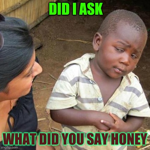 gamer 5X yeah | DID I ASK; WHAT DID YOU SAY HONEY | image tagged in memes,third world skeptical kid | made w/ Imgflip meme maker