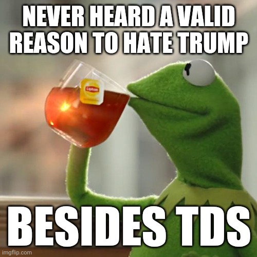 But That's None Of My Business Meme | NEVER HEARD A VALID REASON TO HATE TRUMP BESIDES TDS | image tagged in memes,but that's none of my business,kermit the frog | made w/ Imgflip meme maker