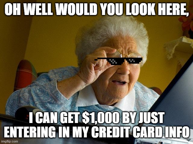 Grandma Finds The Internet | OH WELL WOULD YOU LOOK HERE, I CAN GET $1,000 BY JUST ENTERING IN MY CREDIT CARD INFO | image tagged in memes,grandma finds the internet | made w/ Imgflip meme maker