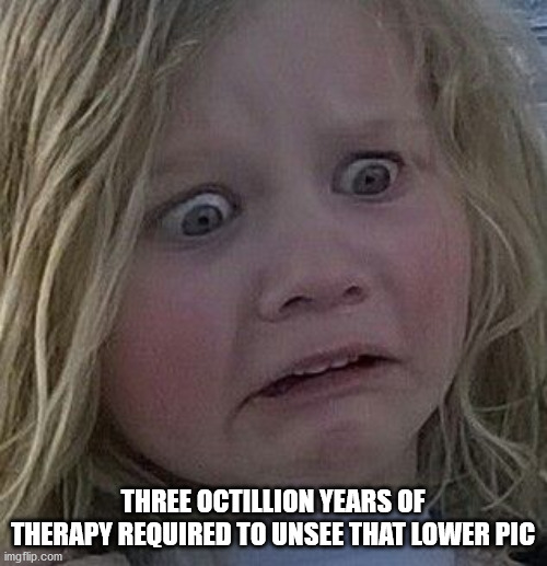 scared kid | THREE OCTILLION YEARS OF THERAPY REQUIRED TO UNSEE THAT LOWER PIC | image tagged in scared kid | made w/ Imgflip meme maker