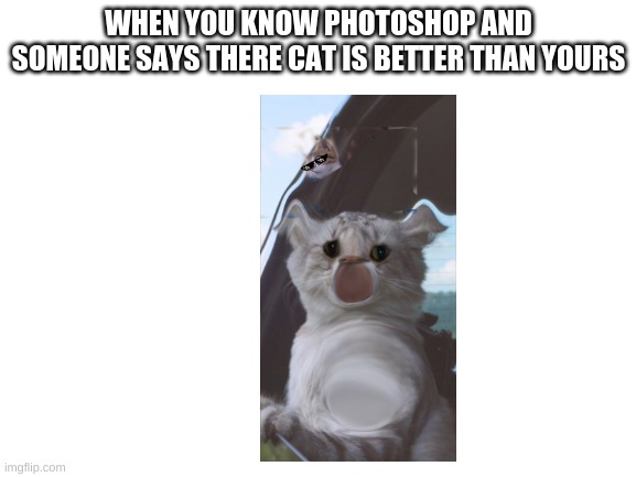 No regrets | WHEN YOU KNOW PHOTOSHOP AND SOMEONE SAYS THERE CAT IS BETTER THAN YOURS | image tagged in blank white template,cats,cursed,photoshop,bad photoshop | made w/ Imgflip meme maker