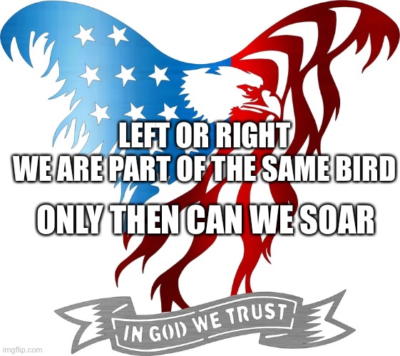 America and Unity | LEFT OR RIGHT
WE ARE PART OF THE SAME BIRD; ONLY THEN CAN WE SOAR | image tagged in america,unity,accountability,democrat,republican | made w/ Imgflip meme maker