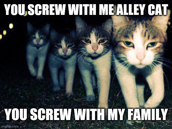Wrong Neighboorhood Cats | YOU SCREW WITH ME ALLEY CAT; YOU SCREW WITH MY FAMILY | image tagged in memes,wrong neighboorhood cats | made w/ Imgflip meme maker