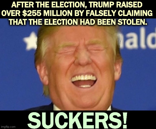 Who keeps coming back to be fleeced again? | AFTER THE ELECTION, TRUMP RAISED 
OVER $255 MILLION BY FALSELY CLAIMING 
THAT THE ELECTION HAD BEEN STOLEN. SUCKERS! | image tagged in trump laughing,raise,money,lies,suckers | made w/ Imgflip meme maker