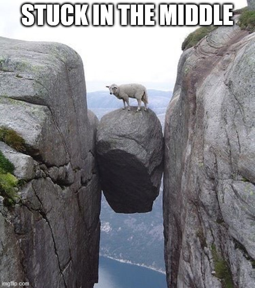 Between a rock and a hard place | STUCK IN THE MIDDLE | image tagged in between a rock and a hard place | made w/ Imgflip meme maker