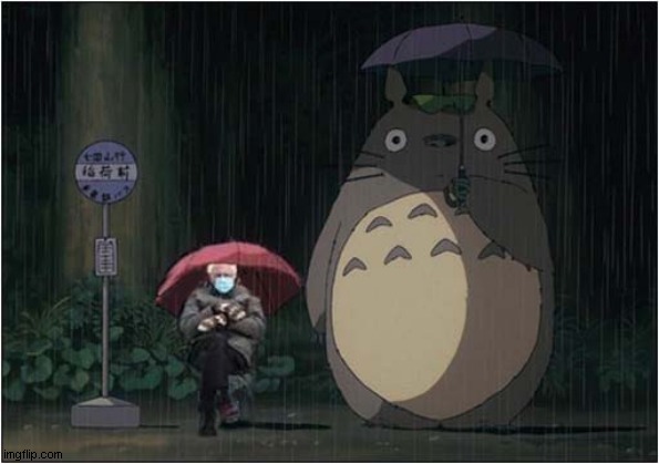 Bernie and Totoro | image tagged in bernie mittens,bernie,totoro | made w/ Imgflip meme maker