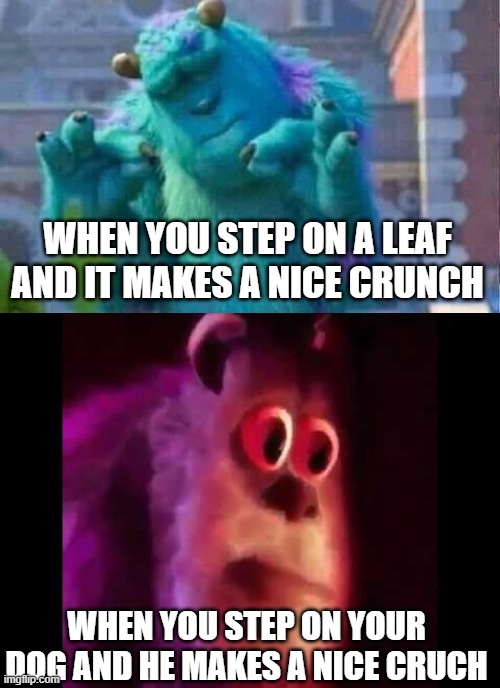 Dog Make Crunch |  WHEN YOU STEP ON A LEAF AND IT MAKES A NICE CRUNCH; WHEN YOU STEP ON YOUR DOG AND HE MAKES A NICE CRUCH | image tagged in sully shutdown,sully groan,dogs | made w/ Imgflip meme maker